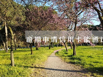 逾期申请信用卡能通过吗 逾期申请信用卡能通过吗