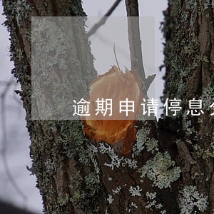 逾期申请停息分期 逾期申请停息分期