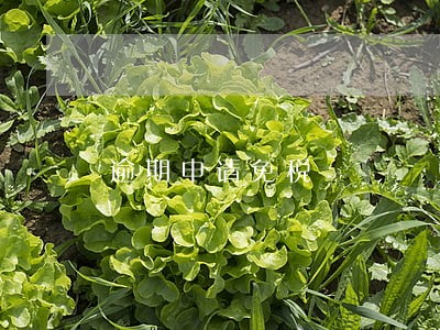 逾期申请免税 逾期申请免税