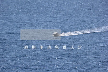 逾期申请免税认定 逾期申请免税认定