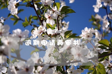 逾期申请再审书 逾期申请再审书