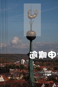 逾期申请再审后怎么办 逾期申请再审后怎么办