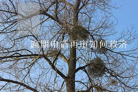 逾期申请再审如何救济 逾期申请再审如何救济