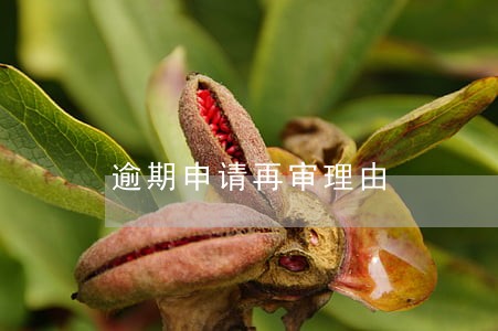 逾期申请再审理由 逾期申请再审理由