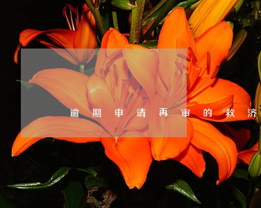 逾期申请再审的救济 逾期申请再审的救济