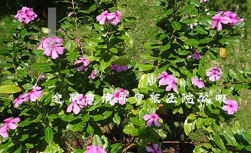 逾期申请再审被法院驳回 逾期申请再审被法院驳回