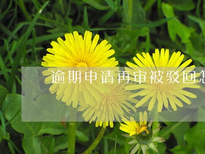 逾期申请再审被驳回怎么办 逾期申请再审被驳回怎么办