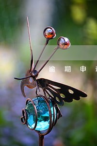逾期申请农行信用卡 逾期申请农行信用卡