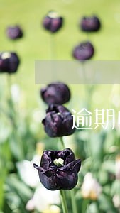 逾期申请减免 逾期申请减免