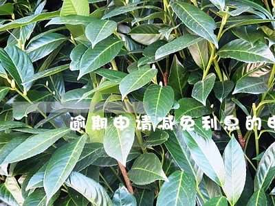 逾期申请减免利息的申请书 逾期申请减免利息的申请书