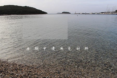 逾期申请减免材料 逾期申请减免材料