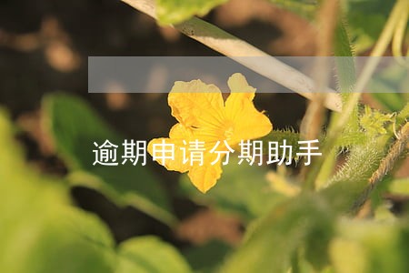 逾期申请分期助手 逾期申请分期助手