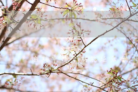 逾期申请分期能延后吗 逾期申请分期能延后吗
