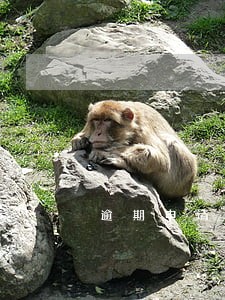 逾期申请分期还款 逾期申请分期还款