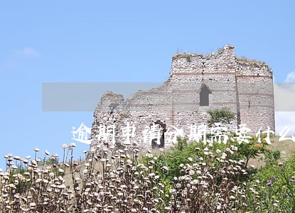 逾期申请分期需要什么 逾期申请分期需要什么