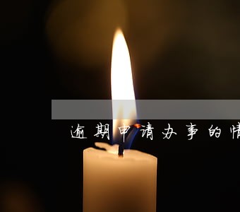 逾期申请办事的情况说明 逾期申请办事的情况说明