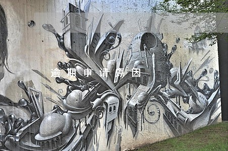 逾期申请原因 逾期申请原因