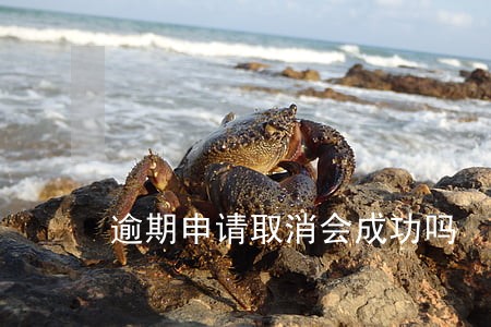 逾期申请取消会成功吗 逾期申请取消会成功吗