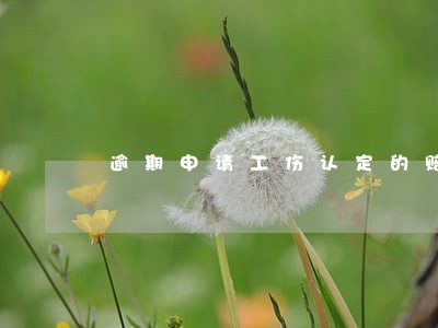 逾期申请工伤认定的赔偿 逾期申请工伤认定的赔偿