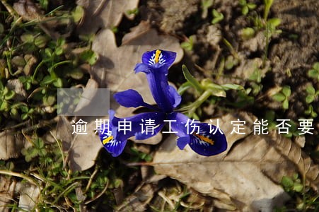 逾期申请工伤认定能否要求赔偿 逾期申请工伤认定能否要求赔偿