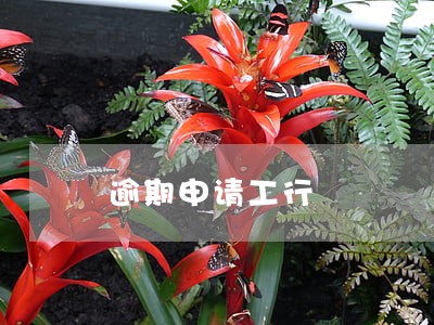 逾期申请工行 逾期申请工行