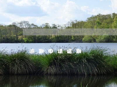 逾期申请延期 逾期申请延期
