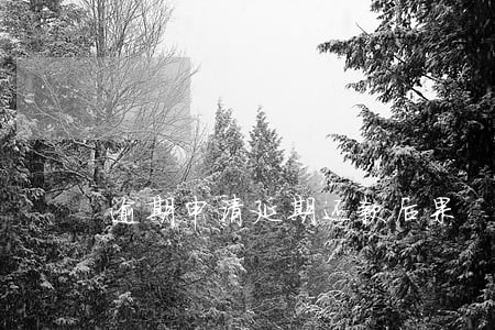 逾期申请延期还款后果 逾期申请延期还款后果