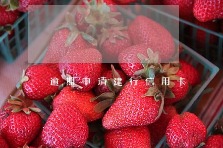 逾期申请建行信用卡 逾期申请建行信用卡