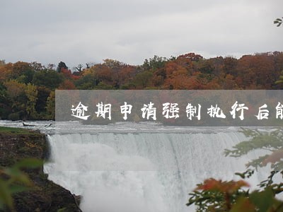 逾期申请强制执行后能否重新处罚 逾期申请强制执行后能否重新处罚
