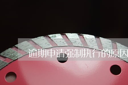 逾期申请强制执行的原因 逾期申请强制执行的原因