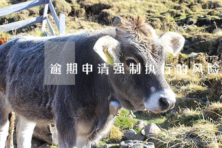 逾期申请强制执行的风险 逾期申请强制执行的风险