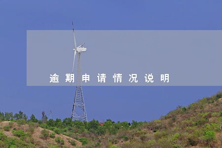 逾期申请情况说明 逾期申请情况说明