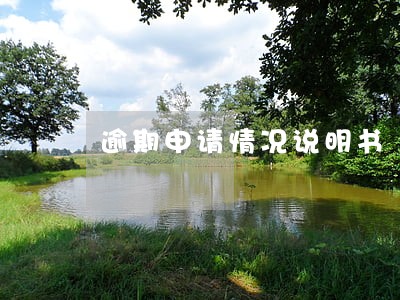 逾期申请情况说明书 逾期申请情况说明书