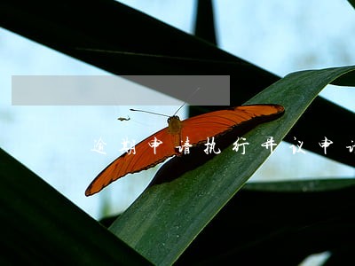 逾期申请执行异议申请