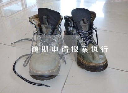 逾期申请报案执行 逾期申请报案执行
