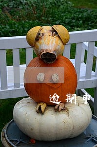 逾期申请提取公积金
