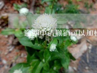 逾期申请撤销可以加快进度吗 逾期申请撤销可以加快进度吗