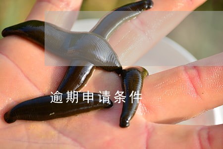 逾期申请条件 逾期申请条件