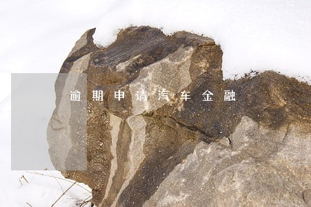 逾期申请汽车金融