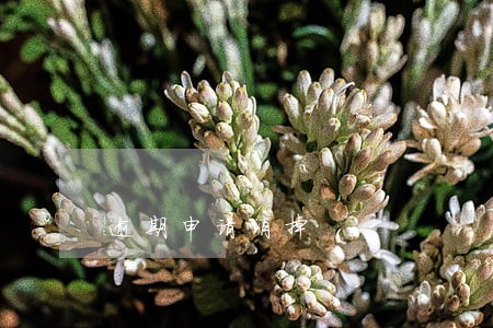 逾期申请消掉 逾期申请消掉