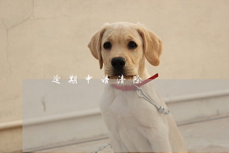 逾期申请清除 逾期申请清除