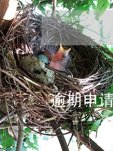 逾期申请理赔的法律后果 逾期申请理赔的法律后果