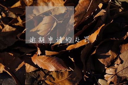 逾期申请的处罚 逾期申请的处罚