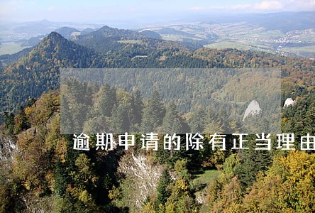 逾期申请的除有正当理由外 逾期申请的除有正当理由外