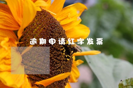 逾期申请红字发票 逾期申请红字发票