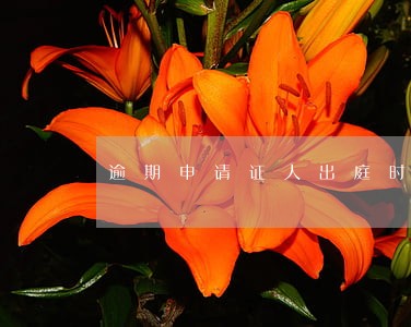 逾期申请证人出庭时间 逾期申请证人出庭时间