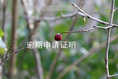 逾期申请证明 逾期申请证明