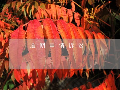 逾期申请诉讼 逾期申请诉讼