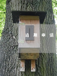 逾期申请诉讼保全
