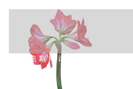 逾期申请贷款哪家快